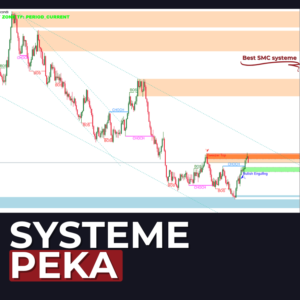 SYSTEME PEKA